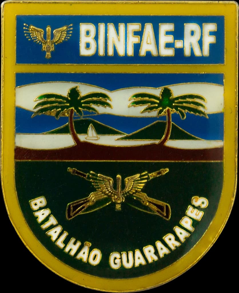 DISTINTIVO DE BOLSO - EB BINFAE - RF — imagem 1