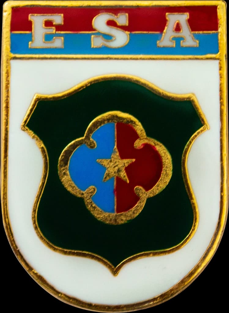 DISTINTIVO DE BOLSO - EB ESA — imagem 1