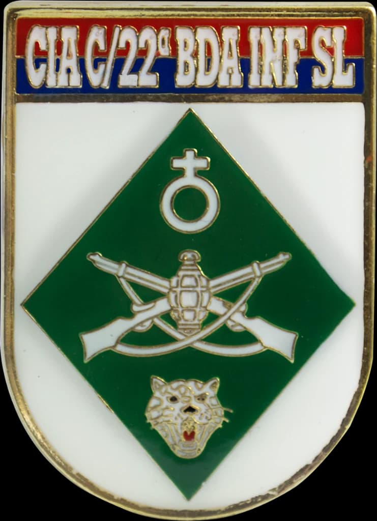 DISTINTIVO DE BOLSO - EB CIA C/22º BDA INF SL — imagem 1