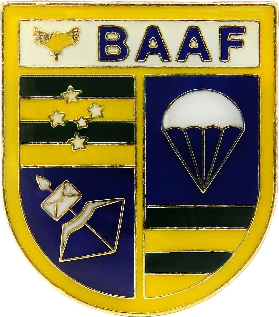 DISTINTIVO DE BOLSO - FAB BAAF — imagem 1