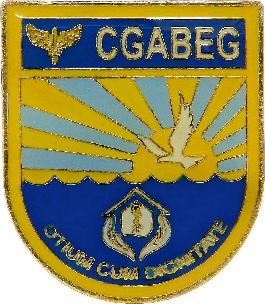 DISTINTIVO DE BOLSO - FAB CGABEG — imagem 1