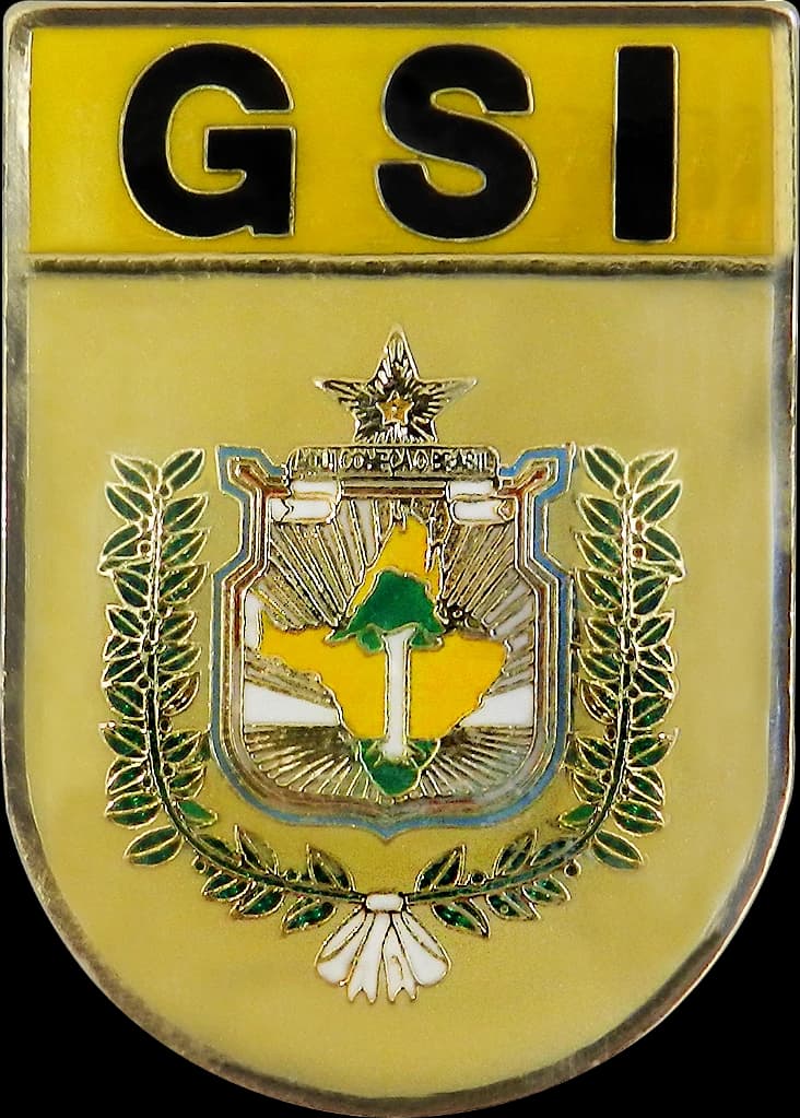 DISTINTIVO DE BOLSO - GSI — imagem 1