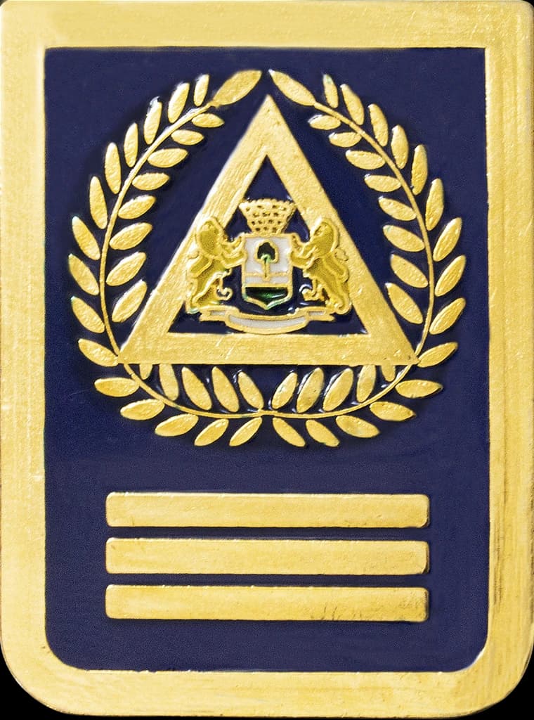 DISTINTIVO DE BOLSO - GCM INSPETOR — imagem 1