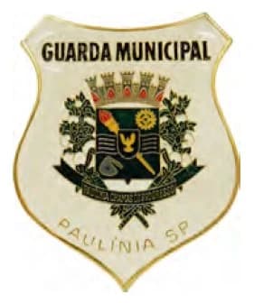 DISTINTIVO DE PEITO - GC PAULÍNIA — imagem 1