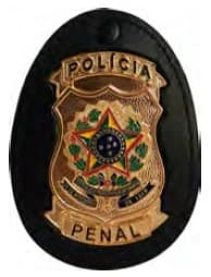 DISTINTIVO DE PEITO - POLÍCIA PENAL — imagem 1