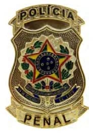 DISTINTIVO DE PEITO - POLÍCIA PENAL — imagem 1