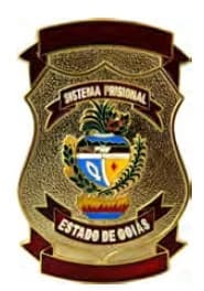 DISTINTIVO DE PEITO - SISTEMA PRISIONAL GO — imagem 1