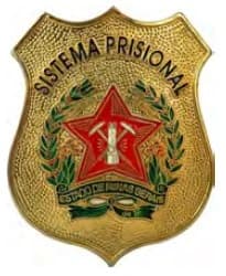 DISTINTIVO DE PEITO - SISTEMA PRISIONAL MG — imagem 1