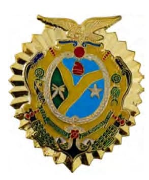 DISTINTIVO DE PEITO - POLÍCIA MILITAR AM — imagem 1
