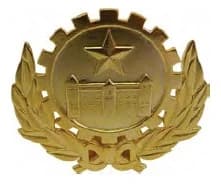 DISTINTIVO DE PEITO - DÁRAMA DO IME — imagem 1