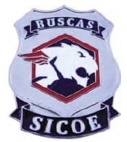 DISTINTIVO DE PEITO - BUSCAS SICOE — imagem 1