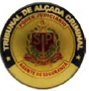 DISTINTIVO DE PEITO - AGENTE DE SEGURANÇA — imagem 1