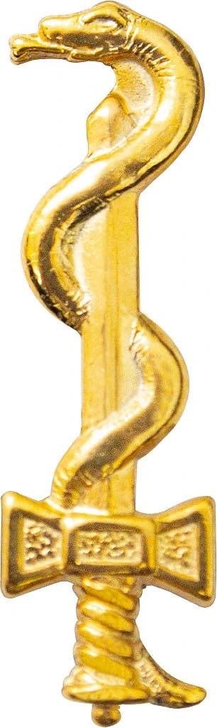 DISTINTIVO DE GOLA - MÉDICO DIRT. — imagem 1