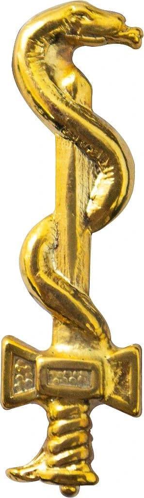 DISTINTIVO DE GOLA - MÉDICO ESQR. — imagem 1