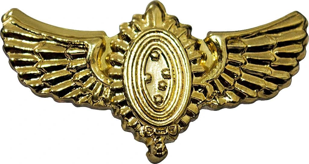 DISTINTIVO DE GOLA - AVIAÇÃO — imagem 1