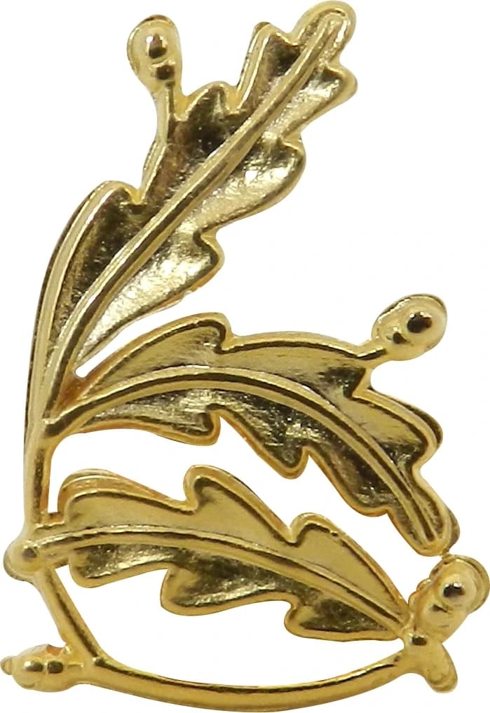 DISTINTIVO DE GOLA - OFCIAL GENERAL / LADO DIREITO — imagem 1