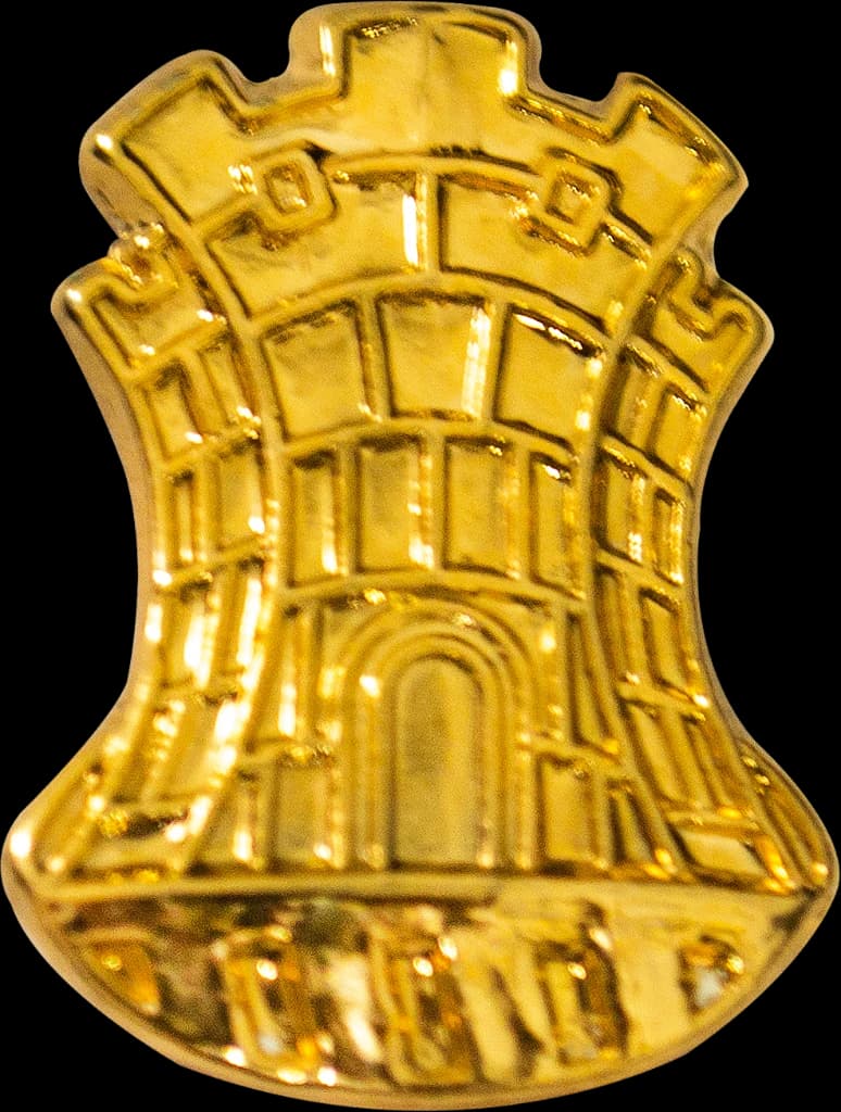 DISTINTIVO DE GOLA - ENGENHARIA — imagem 1