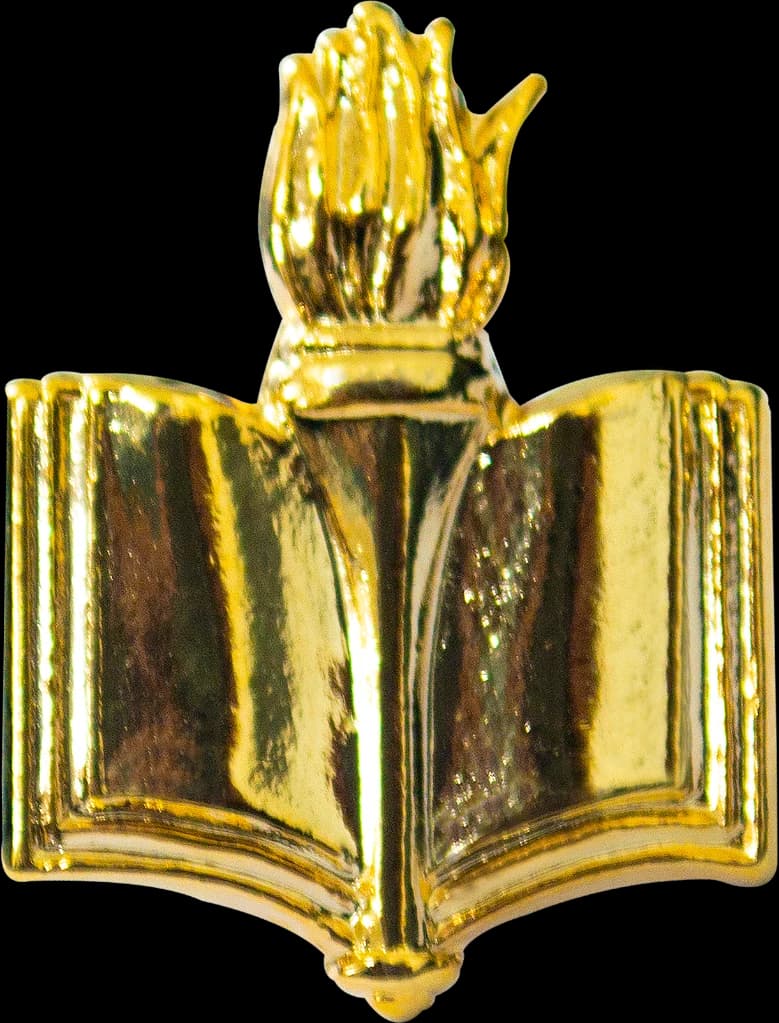 DISTINTIVO DE GOLA - CAPELÃO PROTESTANTE — imagem 1