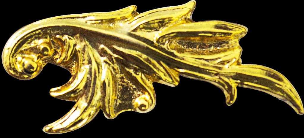 DISTINTIVO DE GOLA - INTENDÊNCIA / LADO DIREITO — imagem 1