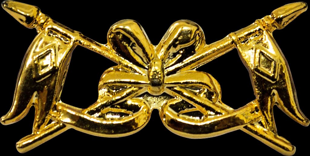 DISTINTIVO DE GOLA - CAVALARIA — imagem 1
