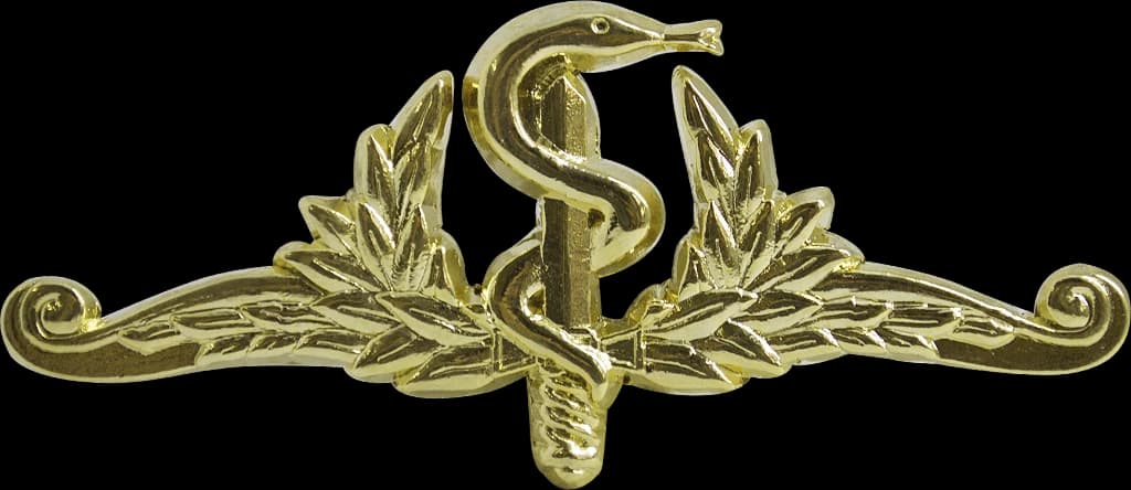 DISTINTIVO DE GOLA - SAÚDE DO EXÉRCITO — imagem 1