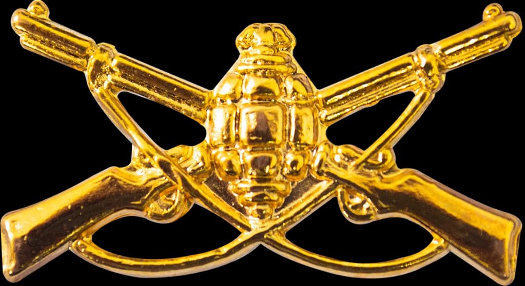 DISTINTIVO DE GOLA - EB INFANTARIA — imagem 1