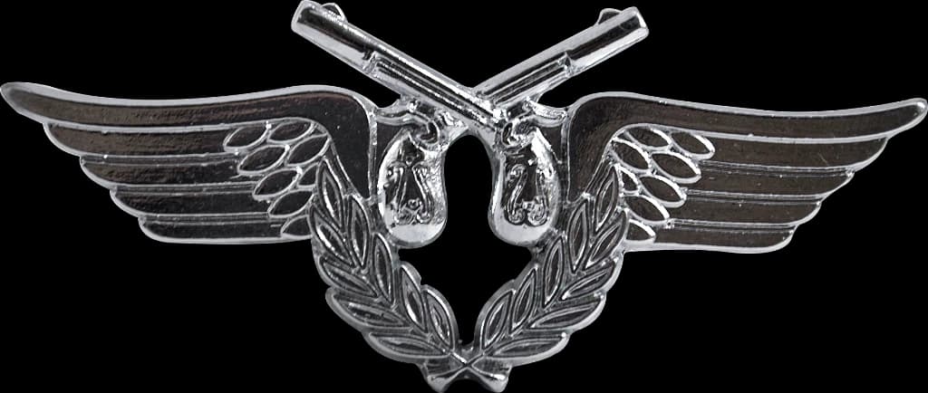 DISTINTIVO DE GOLA - POLÍCIA DO EXÉRCITO — imagem 1