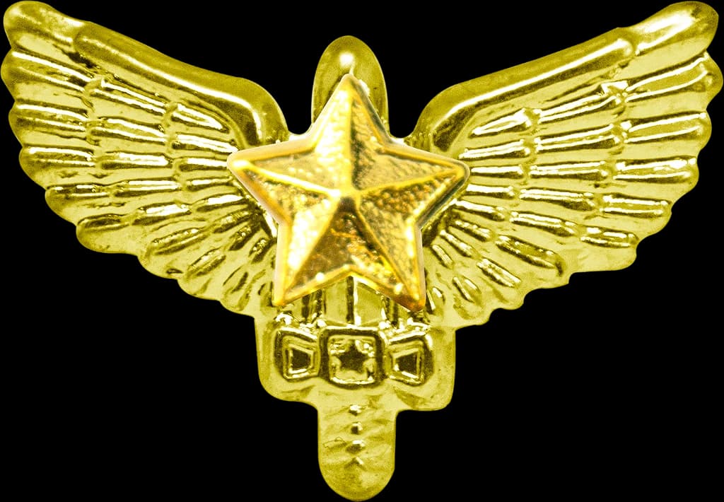DISTINTIVO DE GOLA - 1º ANO AFA — imagem 1