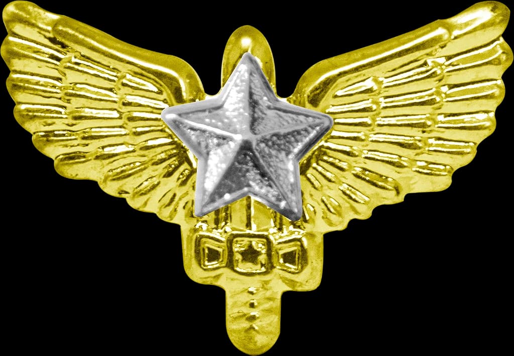 DISTINTIVO DE GOLA - 2º ANO AFA — imagem 1