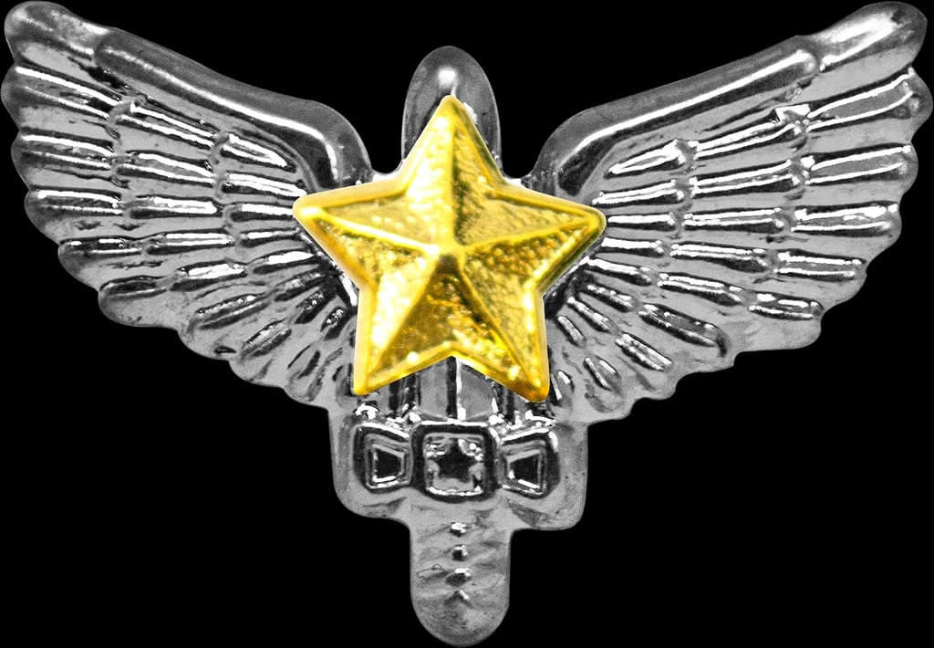 DISTINTIVO DE GOLA - 3º ANO AFA — imagem 1