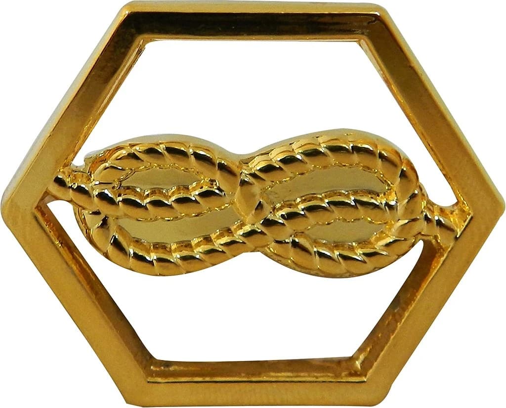 DISTINTIVO DE GOLA - MANOBRAS E REPAROS — imagem 1