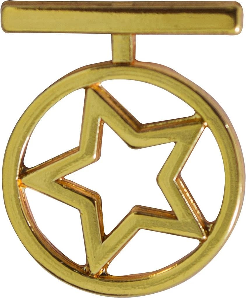 DISTINTIVO DE GOLA - 1º ANO ACADEMIA — imagem 1