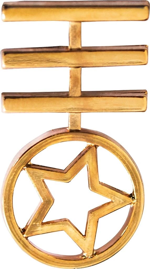DISTINTIVO DE GOLA - 3º ANO ACADEMIA — imagem 1