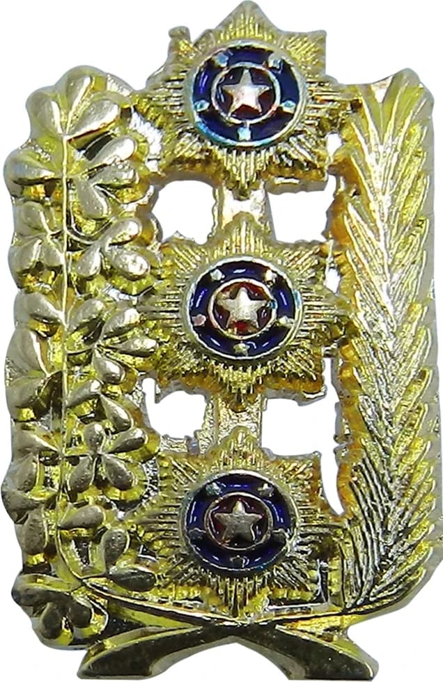DISTINTIVO DE GOLA - CHEFE CASA MILITAR PM — imagem 1