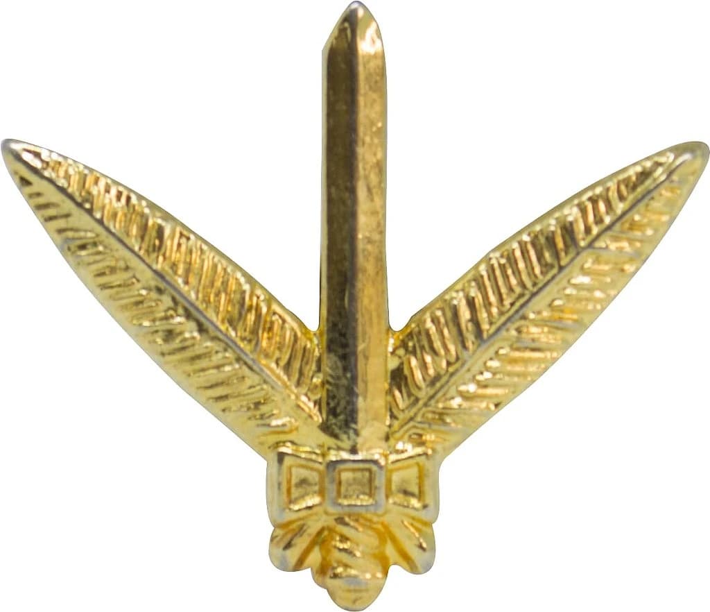 DISTINTIVO DE GOLA - ADMINISTRAÇÃO PM PA — imagem 1
