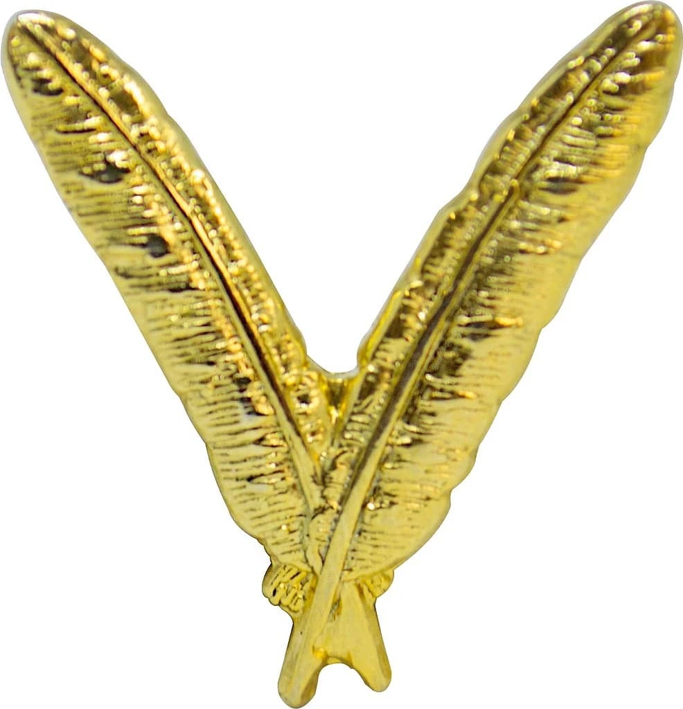 DISTINTIVO DE GOLA - ADMINISTRAÇÃO POLÍCIA MILITAR — imagem 1