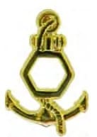 DISTINTIVO DE GOLA - ADMINISTRAÇÃO — imagem 1