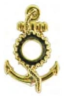 DISTINTIVO DE GOLA - TÉCNICO INDUSTRIAL — imagem 1