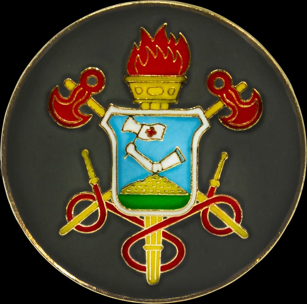 DISTINTIVO DE BOINA - BOMBEIROS MS — imagem 1