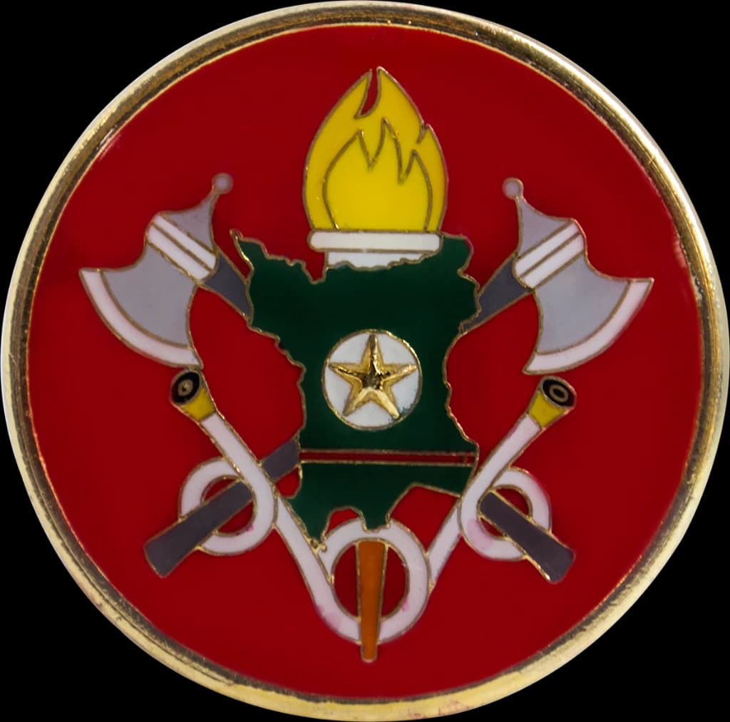 DISTINTIVO DE BOINA - OFICIAL BOMBEIROS RR — imagem 1