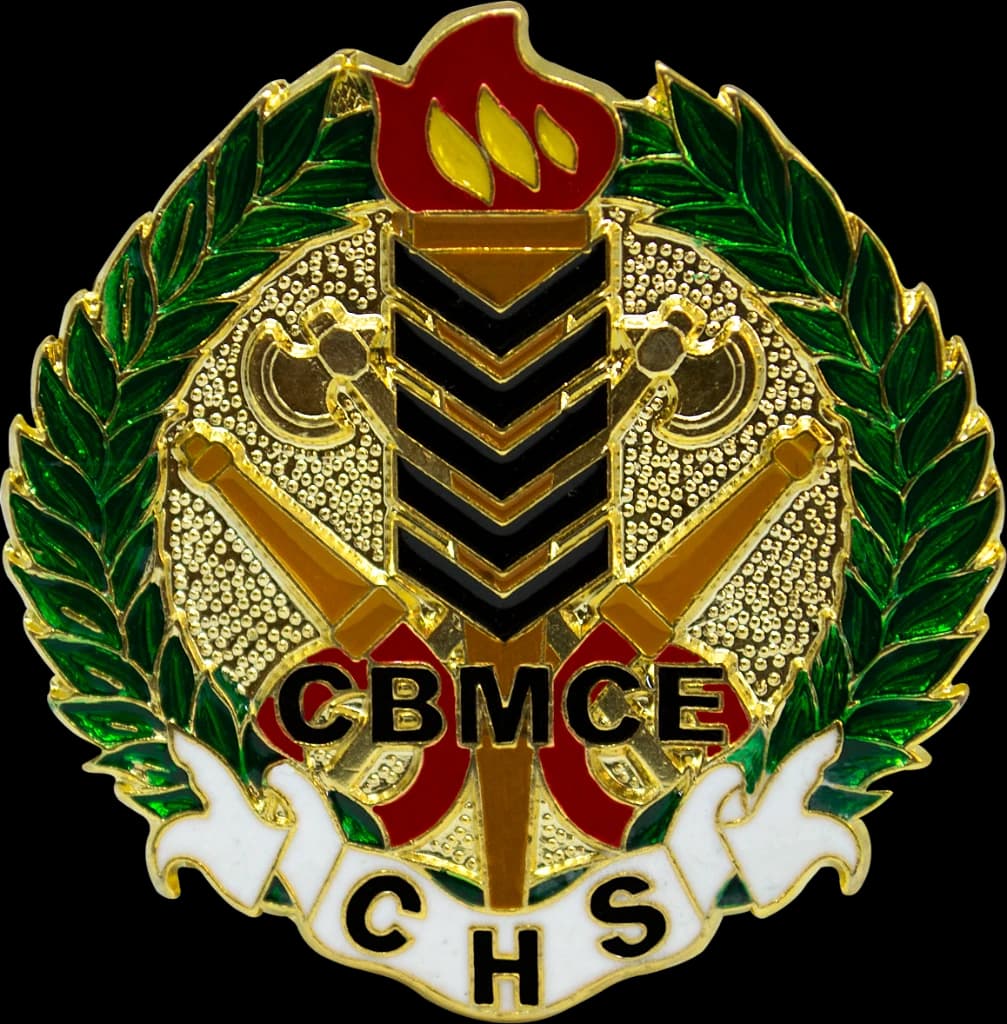 DISTINTIVO DE BOINA - CBM CE / CHS — imagem 1