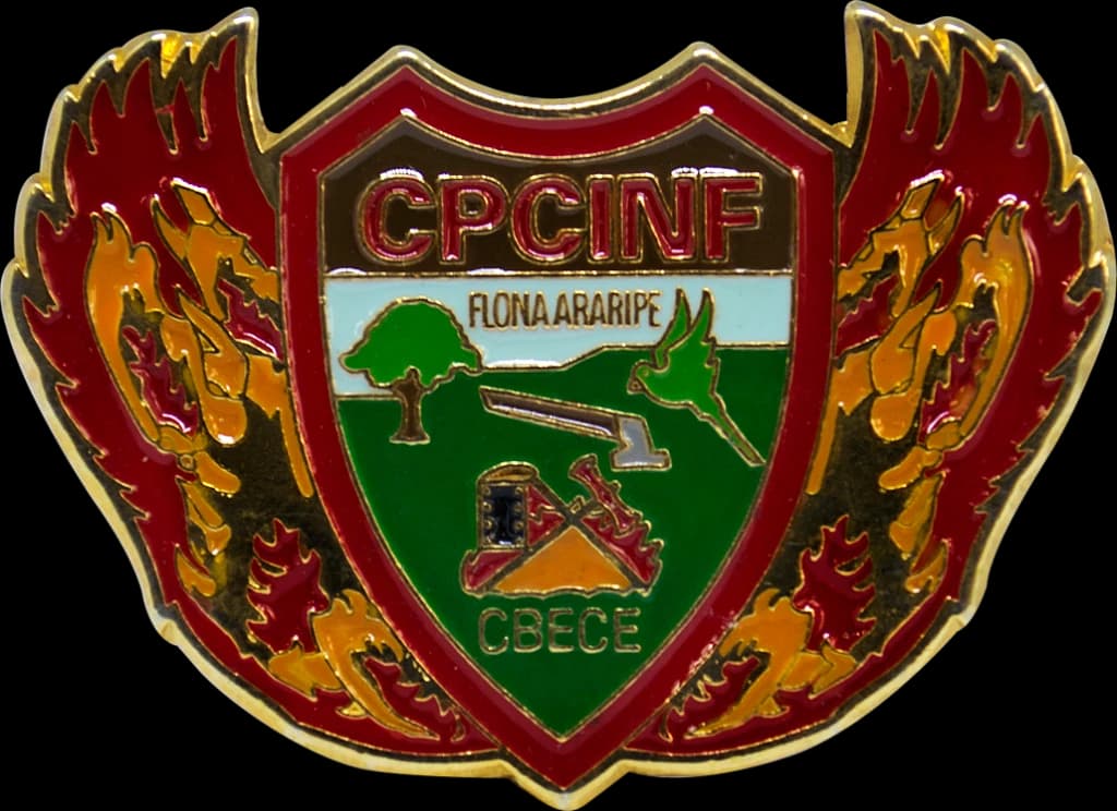 DISTINTIVO DE BOINA - CBECE / CPCINF — imagem 1