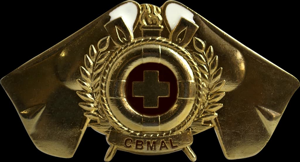 DISTINTIVO DE BOINA - MERGULHADOR CBM AL — imagem 1