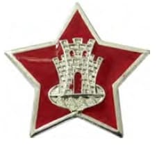 DISTINTIVO DE BOINA - BARRETINA AMAN — imagem 1