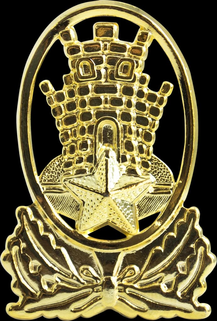 DISTINTIVO DE BOINA - EB EsPCEx — imagem 1