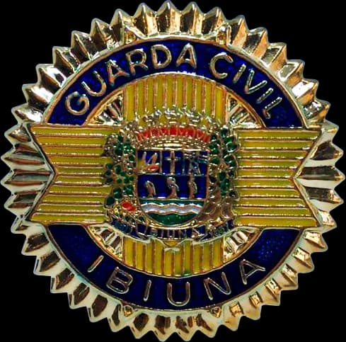 DISTINTIVO DE BOINA - GCM IBIÚNA — imagem 1