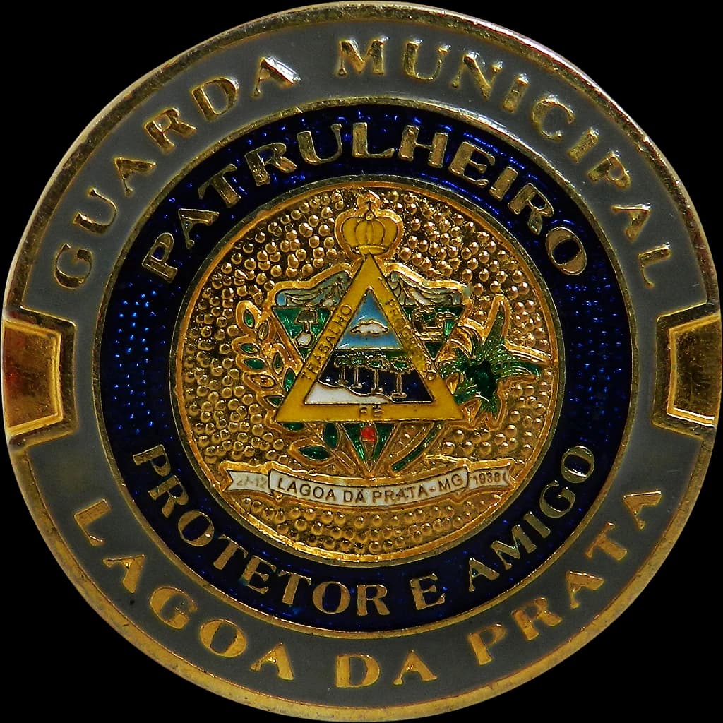 DISTINTIVO DE BOINA - GCM LAGOA DA PRATA — imagem 1