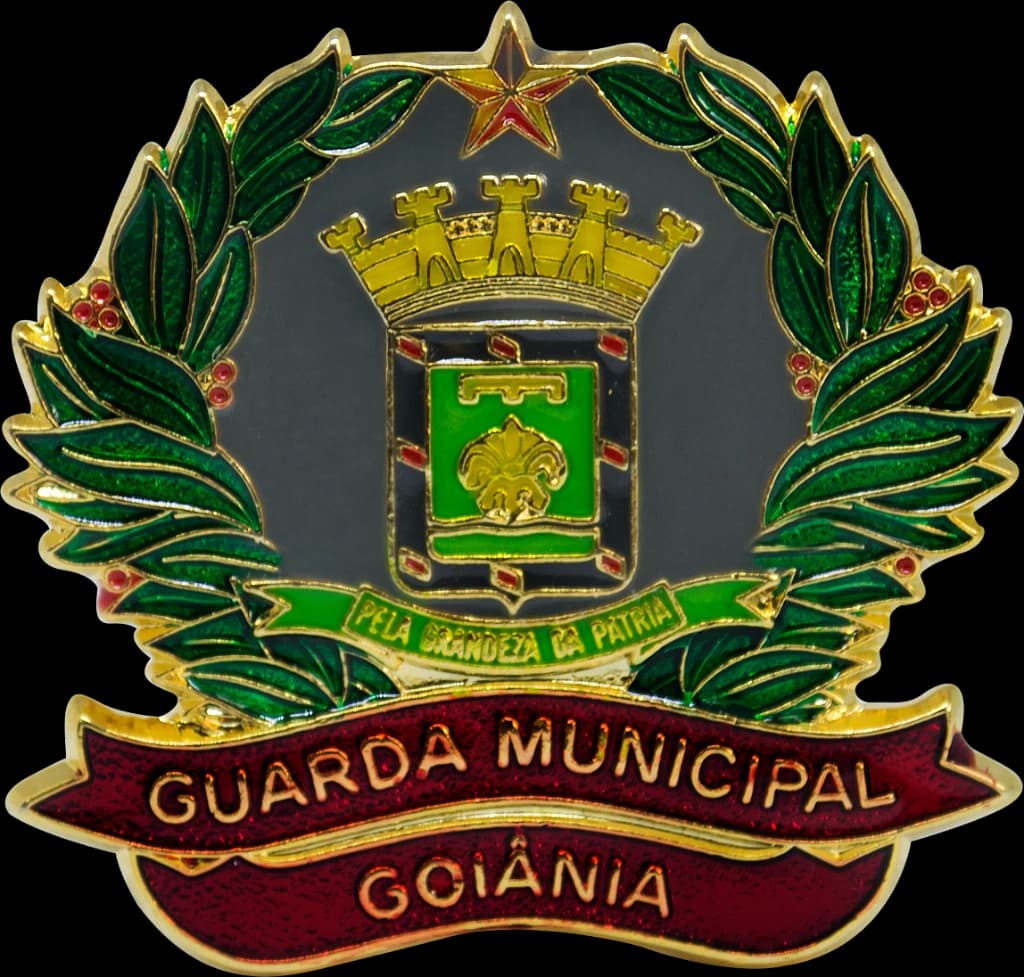 DISTINTIVO DE BOINA - GM GO — imagem 1