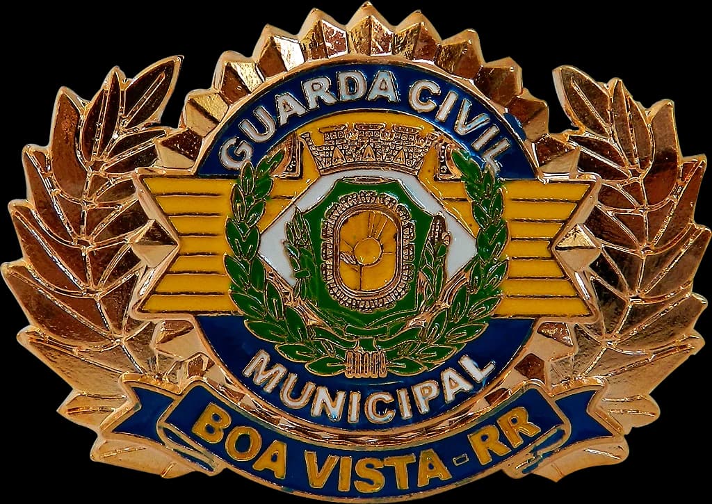 DISTINTIVO DE BOINA - GCM BOA VISTA — imagem 1