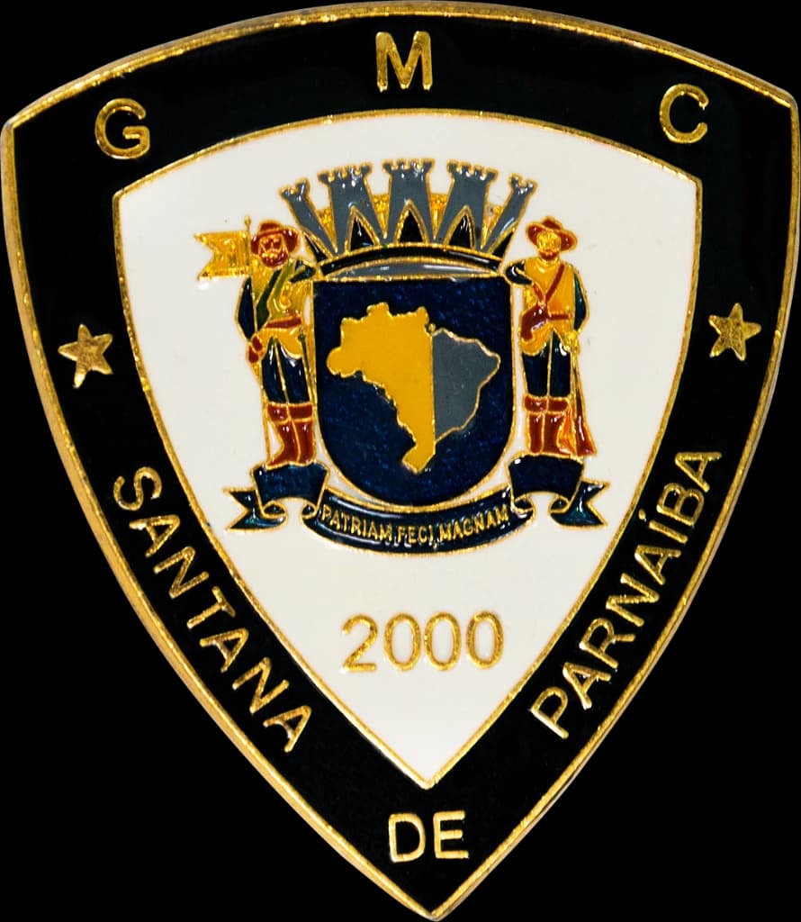 DISTINTIVO DE BOINA - GCM SANTANA DE PARNAÍBA 02 — imagem 1